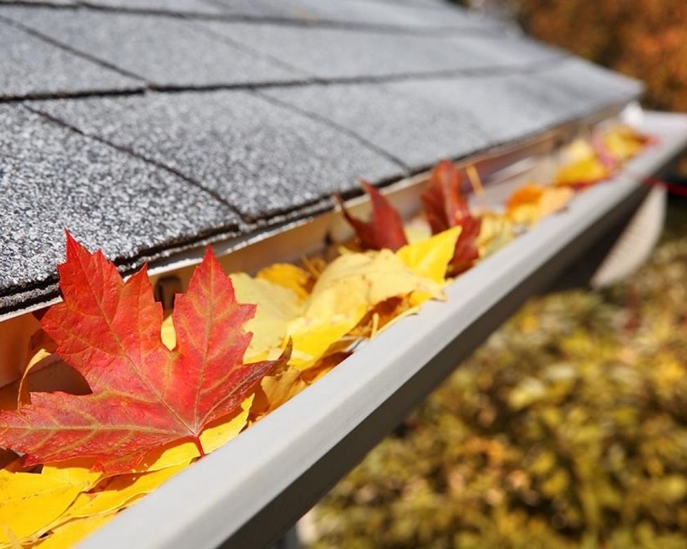 Why Cleaning Your Gutters is Crucial for Your Home’s Foundation