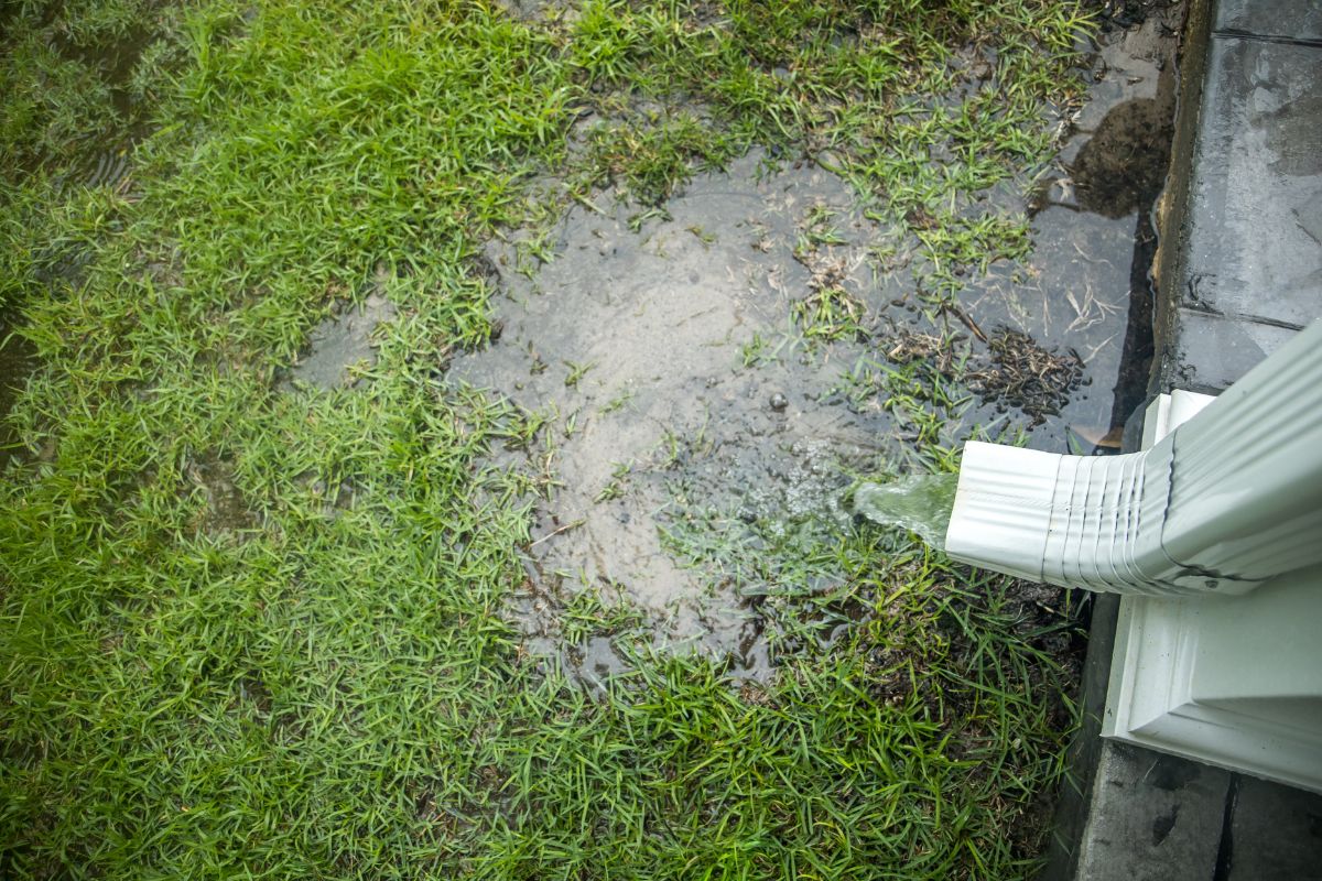 signs of improper drainage