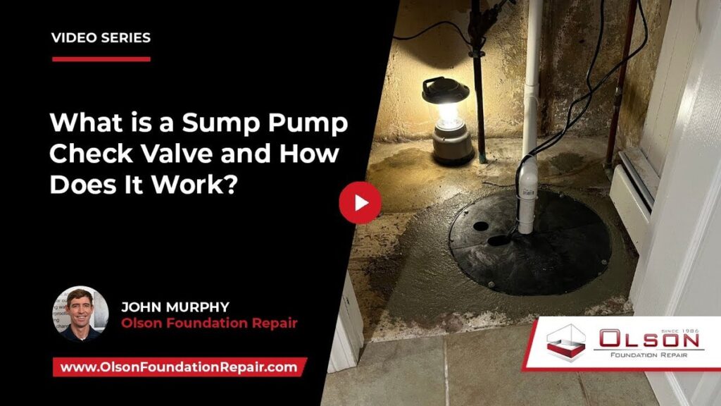 sump pump check valve