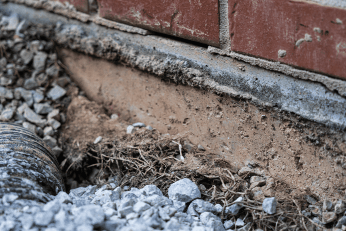 watering a foundation