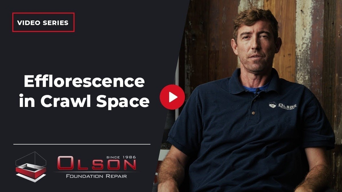 efflorescence in crawl space
