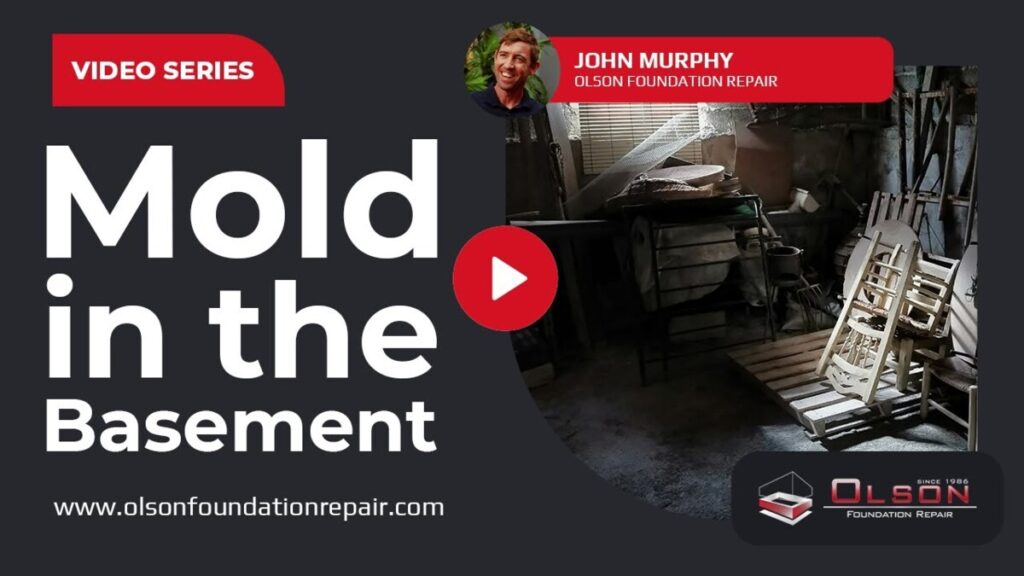 Mold in the Basement